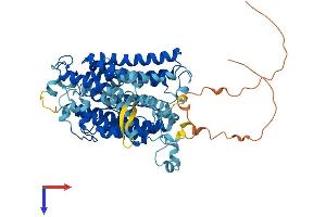SLC23A1 Protein (AA 1-598) (His tag)