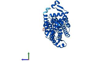 Protein Structure (PS) image for Dolichyl-Phosphate (UDP-N-Acetylglucosamine) N-acetylglucosaminephosphotransferase 1 (GlcNAc-1-P Transferase) (DPAGT1) (AA 1-410) protein (His tag) (ABIN7563251)
