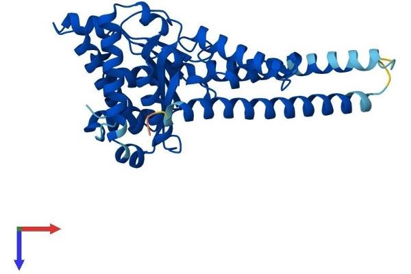 DHDDS Protein (AA 1-333) (His tag)