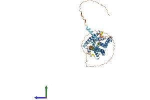 Protein Structure (PS) image for G Protein-Coupled Receptor 101 (GPR101) (AA 1-508) protein (His tag) (ABIN7548150)