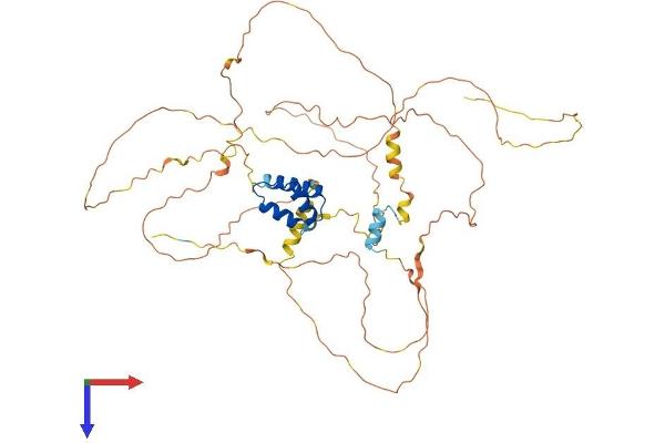 IRX4 Protein (AA 1-515) (His tag)