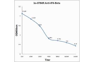 Antigen: 0. (IFNB1 Antikörper  (AA 101-184))
