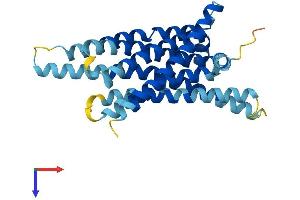 AlphaFold protein structure predicition of Human Recombinant TAS2R43 Protein, UniprotID P59537