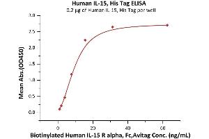 Immobilized Human IL-15, His Tag (ABIN6973107) at 2 μg/mL (100 μL/well) can bind Biotinylated Human IL-15 R alpha, Fc,Avitag (ABIN6731258,ABIN6809875) with a linear range of 2-31 ng/mL (QC tested). (IL-15 Protein (AA 49-162) (His tag))