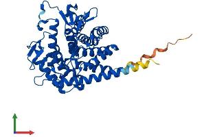 Protein Structure (PS) image for Renin Binding Protein (RENBP) (AA 1-427) protein (His tag) (ABIN7551373)