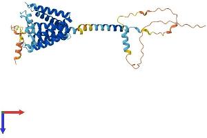 Transmembrane Protein 198 (TMEM198) (AA 1-360) protein (His tag)
