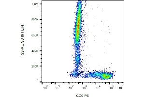 Flow cytometry analysis (surface staining) of human peripheral blood cells with anti-human CD6 (MEM-98) PE.
