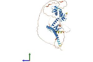 Protein Structure (PS) image for Ring Finger Protein 217 (RNF217) (AA 1-515) protein (His tag) (ABIN7562095)