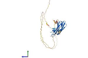 Protein Structure (PS) image for Regulating Synaptic Membrane Exocytosis 3 (RIMS3) (AA 1-307) protein (His tag) (ABIN7558326)