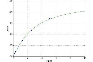 Meprin A, alpha (PABA Peptide Hydrolase) (MEP1A) ELISA Kit
