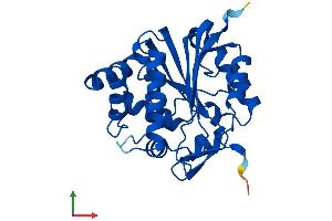 Protein Structure (PS) image for Indolethylamine N-Methyltransferase (INMT) (AA 1-263) protein (His tag) (ABIN7548580)