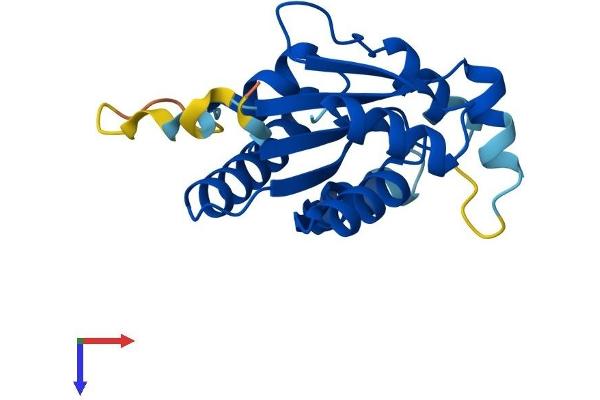 IdnK Protein (AA 1-184) (His tag)