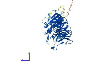 Protein Structure (PS) image for Protein Phosphatase 2, Regulatory Subunit B, delta (PPP2R2D) (AA 1-453) protein (His tag) (ABIN7551732)