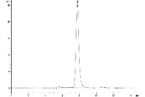 Size-exclusion chromatography-High Pressure Liquid Chromatography (SEC-HPLC) image for Toll-Like Receptor 3 (TLR3) (AA 25-705) protein (His tag) (ABIN7275748)