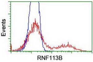 Flow Cytometry (FACS) image for anti-Ring Finger Protein 113B (RNF113B) antibody (ABIN1500715) (RNF113B Antikörper)
