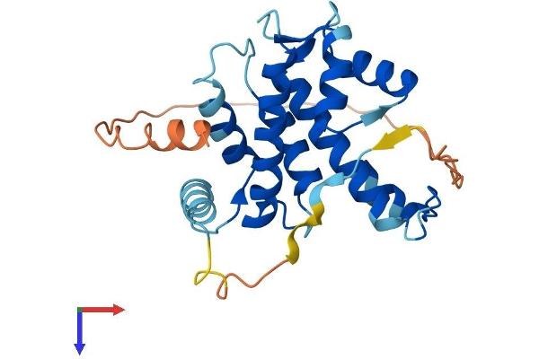 CAPNS2 Protein (AA 1-247) (His tag)