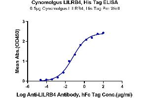 Immobilized Cynomolgus LILRB4, His Tag at 5 μg/mL (100 μL/Well) on the plate.