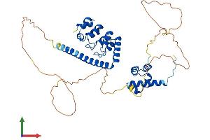 AlphaFold protein structure predicition of Mouse Recombinant Anks4b Protein, UniprotID Q8K3X6 (ANKS4B Protein (AA 1-423) (His tag))