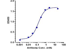 Immobilized Cynomolgus TRAIL R2/DR5/ TNFRSF10B Protein, His Tag at 2 μg/mL can bind drozitumab, EC50=0.