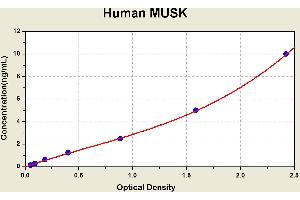 Diagramm of the ELISA kit to detect Human MUSKwith the optical density on the x-axis and the concentration on the y-axis.