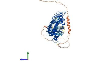 Protein Structure (PS) image for Peroxisome Proliferator-Activated Receptor alpha (PPARA) (AA 1-468) protein (His tag) (ABIN7562973)