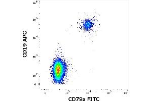 Flow cytometry multicolor intracellular staining pattern of human lymphocytes using anti-human CD79a (HM47) FITC antibody (4 μL reagent / 100 μL of peripheral whole blood) and anti-human CD19 (LT19) APC antibody (10 μL reagent / 100 μL of peripheral whole blood).
