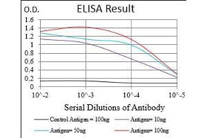Black line: Control Antigen (100 ng), Purple line: Antigen(10 ng), Blue line: Antigen (50 ng), Red line: Antigen (100 ng), (MLANA Antikörper  (AA 48-118))