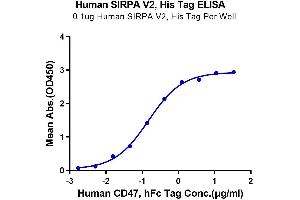 ELISA image for SIRP AlphaV2 protein (His tag) (ABIN7275653)