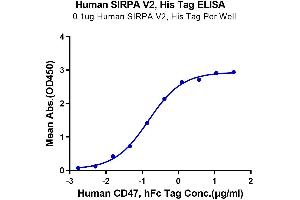 Immobilized Human SIRP alpha V2, His Tag at 1 μg/mL (100 μL/Well) on the plate.