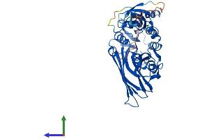 AlphaFold protein structure predicition of Human Recombinant PRMT2 Protein, UniprotID P55345