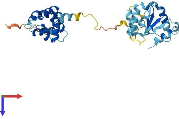 MYD88 Protein (AA 1-296) (His tag)