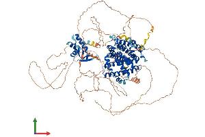 Protein Structure (PS) image for Regulatory Factor X, 1 (Influences HLA Class II Expression) (RFX1) (AA 1-979) protein (His tag) (ABIN7555164)