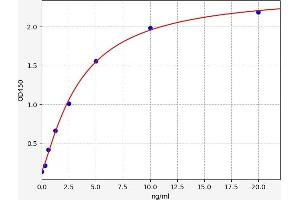 CDK5 ELISA Kit