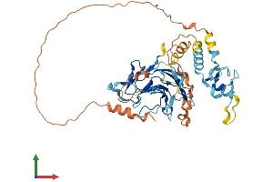 Protein Structure (PS) image for Ring Finger Protein 39 (RNF39) (AA 1-420) protein (His tag) (ABIN7551461)