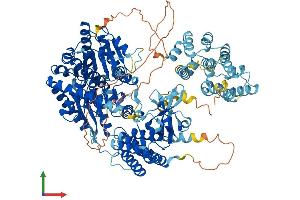 Protein Structure (PS) image for Interferon Induced with Helicase C Domain 1 (IFIH1) (AA 1-1025) protein (His tag) (ABIN7564717)