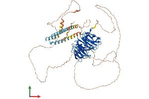 Protein Structure (PS) image for Transducin-Like Enhancer Protein 2 (TLE2) (AA 1-767) protein (His tag) (ABIN7565236)