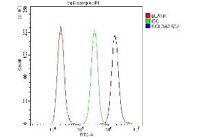 Flow Cytometry analysis of A431 cells using anti-GM130 antibody (ABIN6719433). (Golgin A2 (GOLGA2) (AA 796-913) Antikörper)