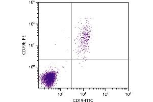 Human peripheral blood lymphocytes were stained with Mouse Anti-Human CD79b-PE. (CD79b Antikörper  (PE))