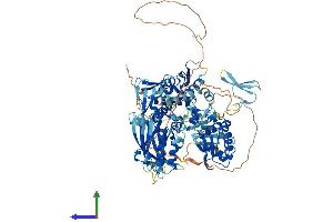 Protein Structure (PS) image for WW Domain Containing E3 Ubiquitin Protein Ligase 2 (WWP2) (AA 1-870) protein (His tag) (ABIN7556045)