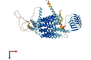 SV2A Protein (AA 1-742) (His tag)