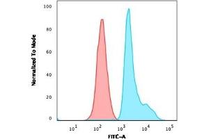 Flow Cytometric Analysis of paraformaldehyde-fixed Raji cells. (RPSA/Laminin Receptor Antikörper)