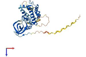 MAPKAP Kinase 2 Protein (AA 1-386) (His tag)