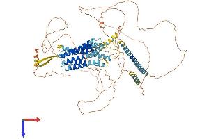 GPR156 Protein (AA 1-798) (His tag)