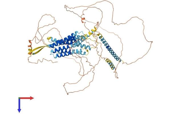 GPR156 Protein (AA 1-798) (His tag)
