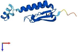 Golgin A7 Protein (GOLGA7) (AA 1-137) (His tag)
