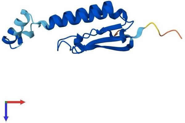 Golgin A7 Protein (GOLGA7) (AA 1-137) (His tag)