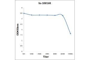 ELISA image for anti-MORC Family CW-Type Zinc Finger 2 (MORC2) (pSer739) antibody (ABIN1385133)