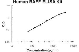 Human BAFF Accusignal ELISA Kit Human BAFF AccuSignal ELISA Kit standard curve. (BAFF ELISA Kit)