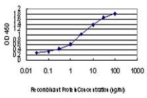 Detection limit for recombinant GST tagged RNPC2 is approximately 0. (RBM39 Antikörper  (AA 423-472))