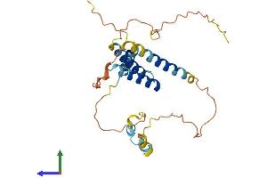 Protein Structure (PS) image for SERTA Domain Containing 1 (SERTAD1) (AA 1-236) protein (His tag) (ABIN7546282)